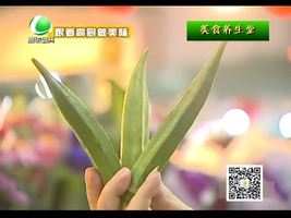 10月12日美食養(yǎng)生堂 