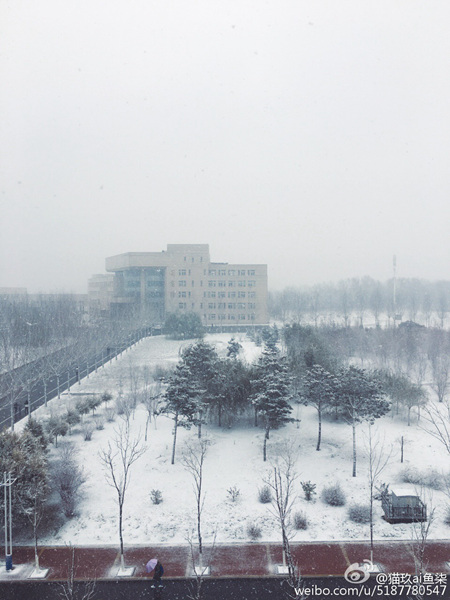 冷空氣繼續(xù)發(fā)威 【東北華北局地降溫超8℃】