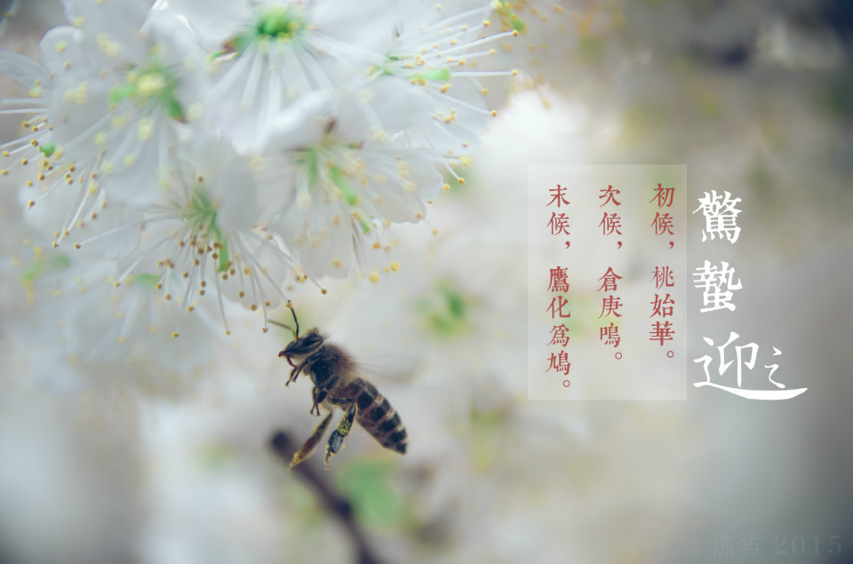 驚蟄吃這5種蔬菜，養(yǎng)生排毒效果佳