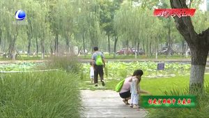 文明從點滴做起 愛護公園一草一木