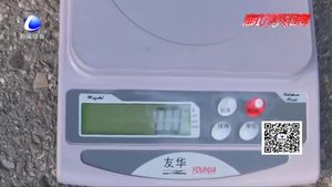 路面不干凈用電子秤稱稱就知道——以克論凈保路面清潔