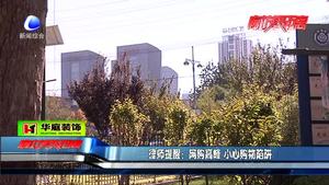 “雙十一”優(yōu)惠來襲 市民態(tài)度不一