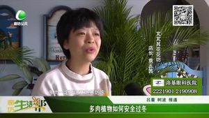 多肉植物如何安全過(guò)冬