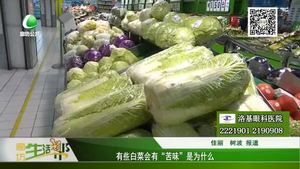 有些白菜會有“苦味”是為什么