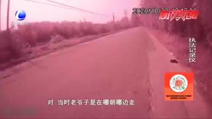 肇事逃逸致人死亡 交警3小時(shí)破案