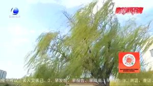 雨后的廊坊 真美！