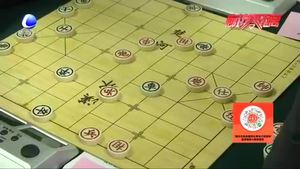 廊坊市迎新春象棋錦標賽開賽 各路選手棋盤論英雄