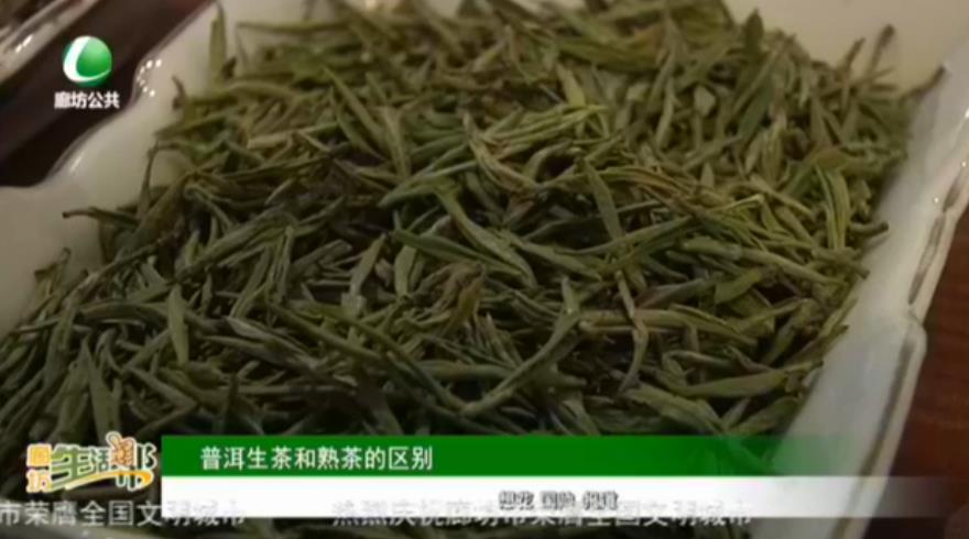 普洱生茶和熟茶的區(qū)別