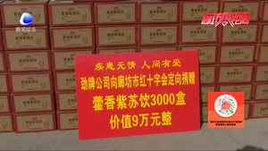 愛心企業(yè)捐款9萬元物資 為我市抗疫工作者加油