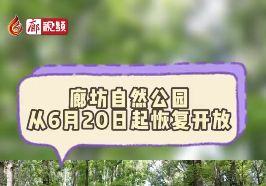 廊視頻丨廊坊自然公園恢復開放啦