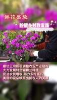 廊坊三河：美麗的花朵 映出新農(nóng)人的笑顏