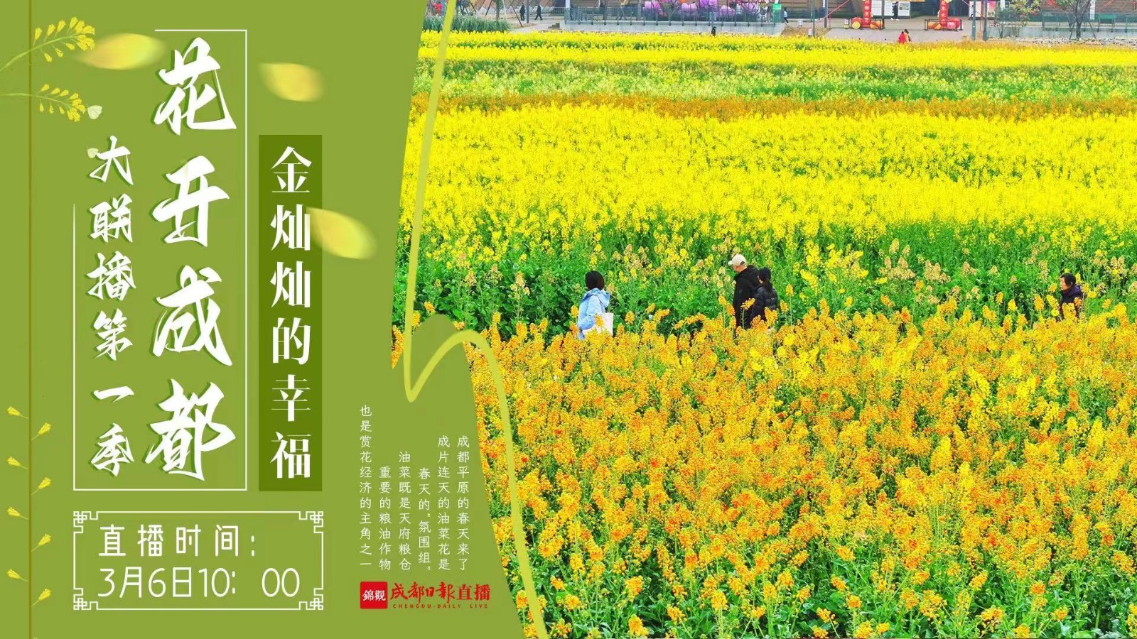 “花開成都”大聯(lián)播第一季:金燦燦的幸福