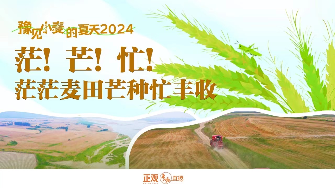 豫見小麥的夏天2024 | 茫！芒！忙！茫茫麥田芒種忙豐收！